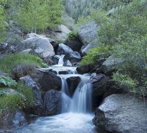 Mountain stream